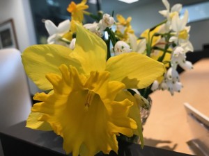img_3635